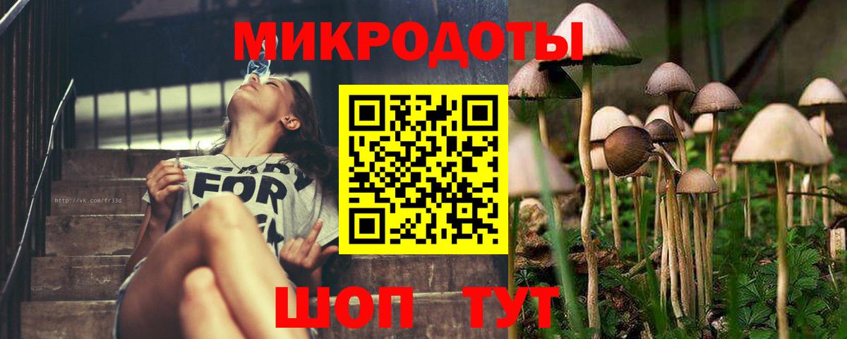 Галлюциногенные грибы мицелий Новотроицк